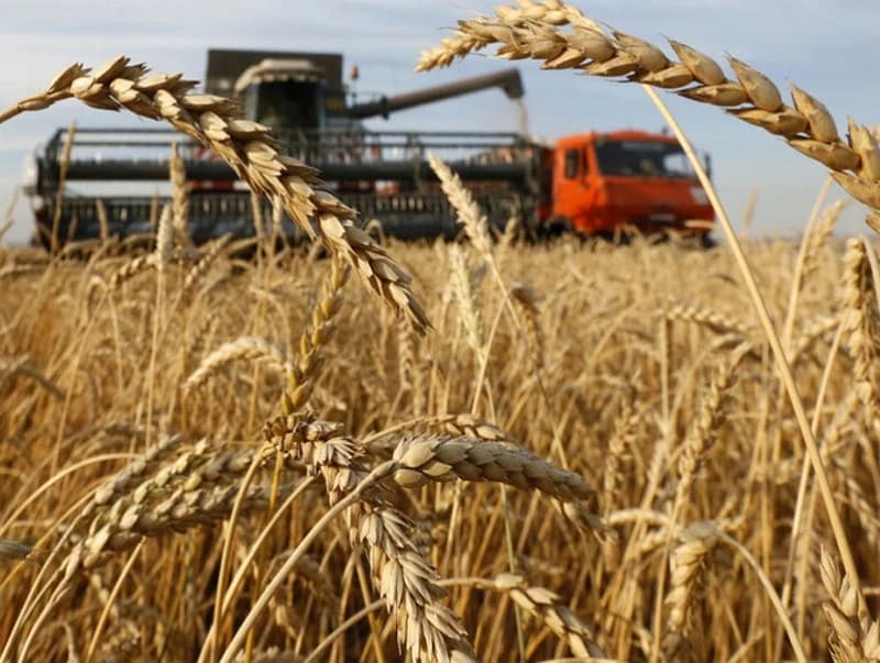 Бодлогын алдаа: “Атрын аян”-ыг баллуурдсан импортын чөлөөлөлт