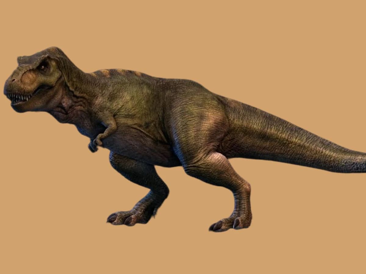 74 сая жилийн настай тираннозаврын олдвор шинэ асуулт дагуулав