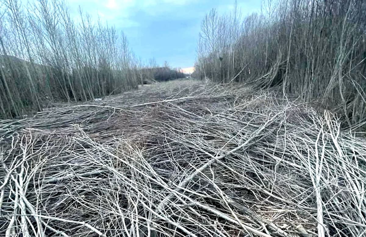 Тэрслүү үг: “COP 17”-д барьж буй хотын даргын сюрприз