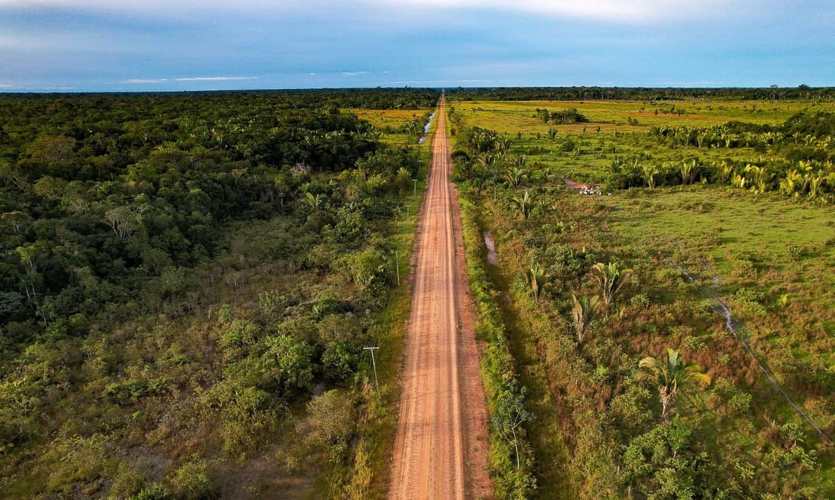 “A road to nowhere”: Амазоны хурдны замын их сүйрэл!