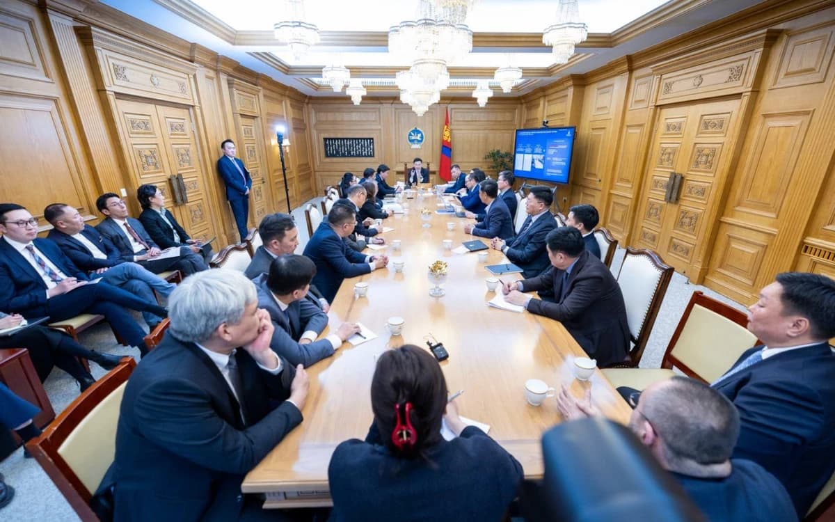 D·纳冉图雅：关于增加自然资源收益，国内、国际谈判正在积极进行中