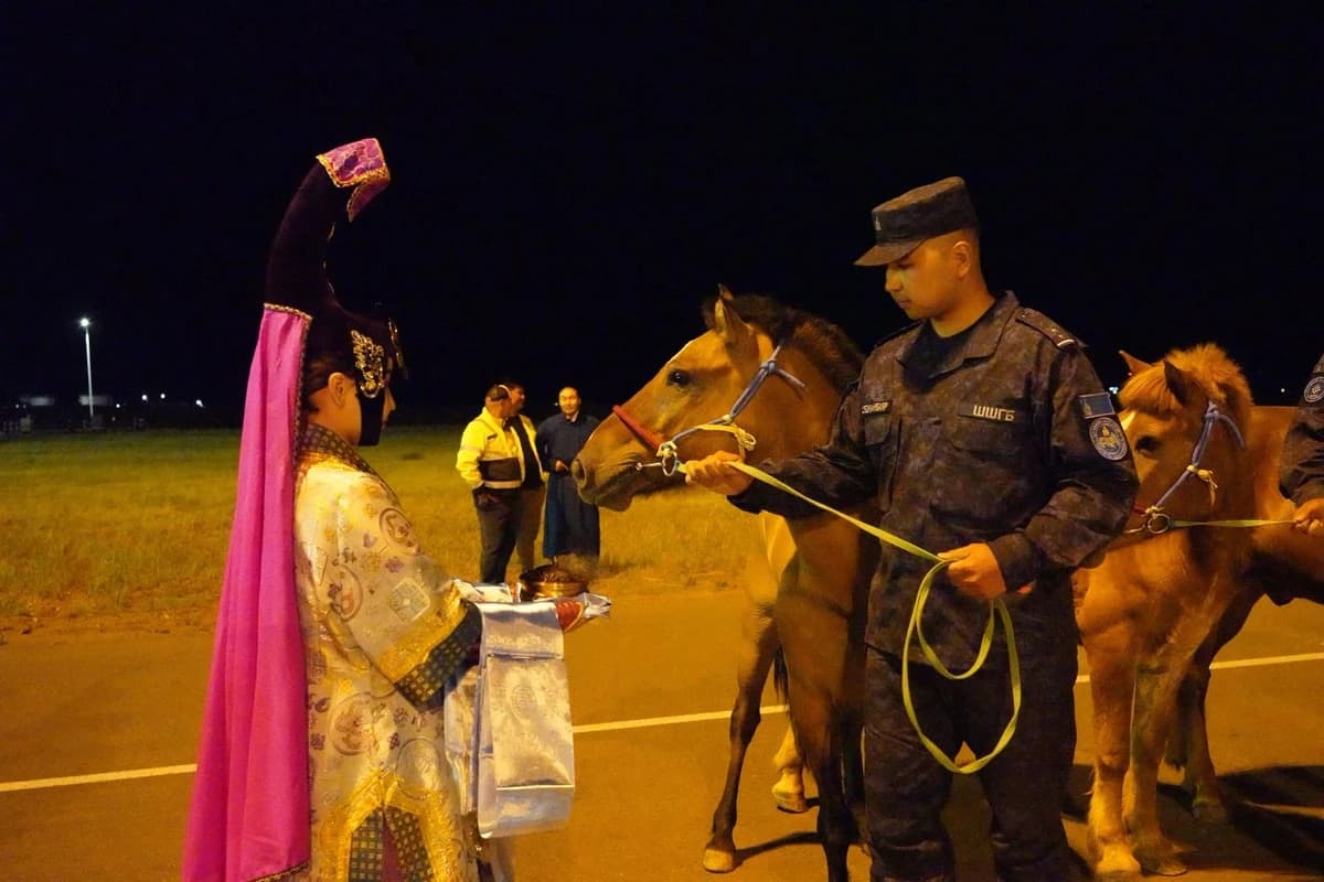 20 horses gifted to Vietnamese mounted police returned to Mongolia