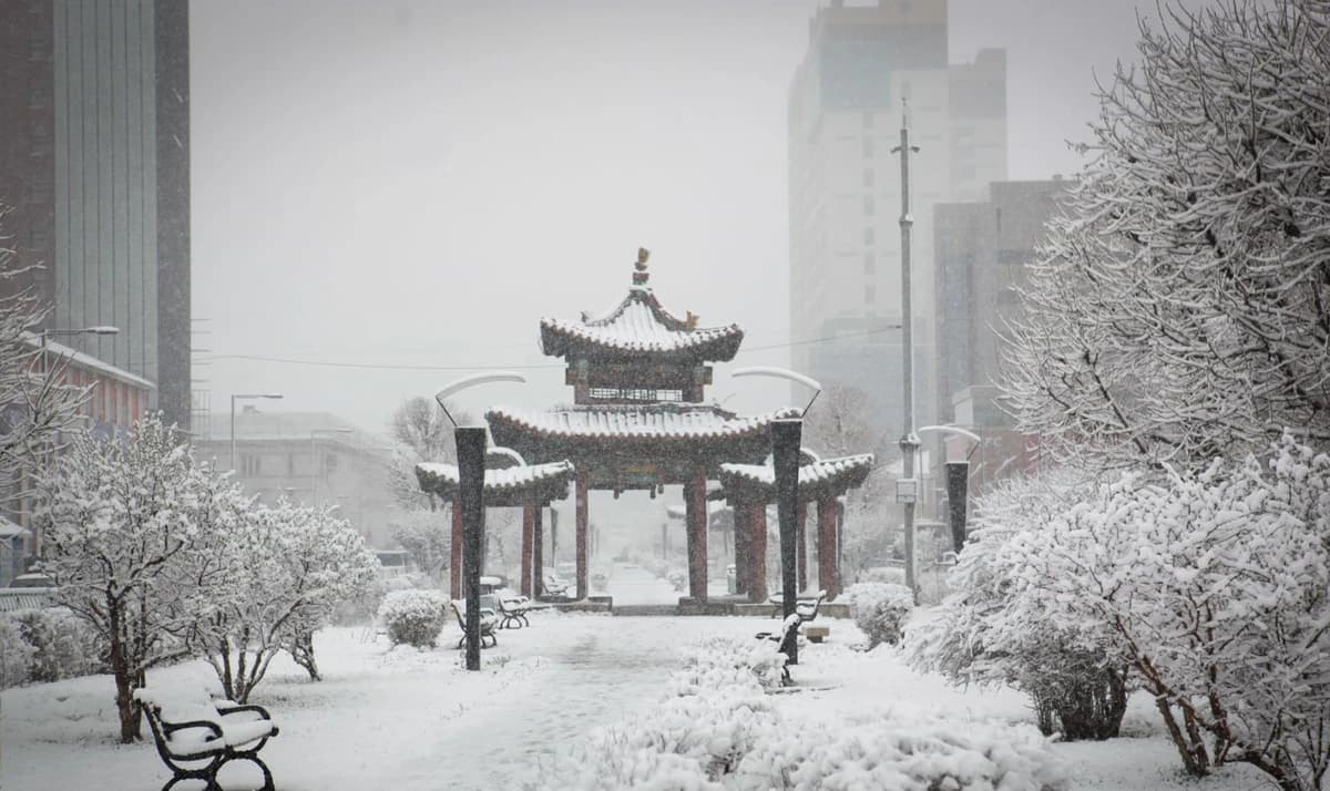 Snowу day: Долоон эгшиг, долоон аялгуу